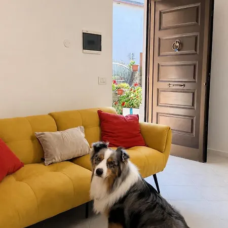 Apartamento The Dream Santa Marta